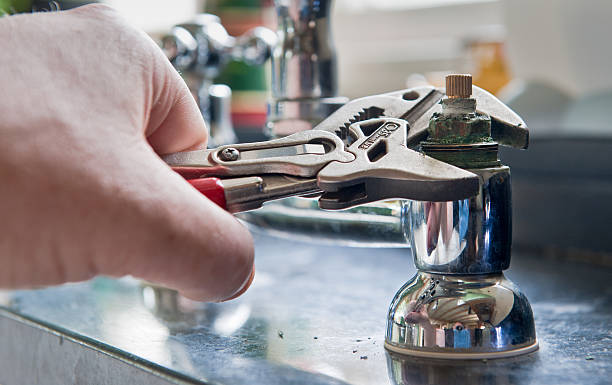 Best Professional water damage repair  in Marion, WI