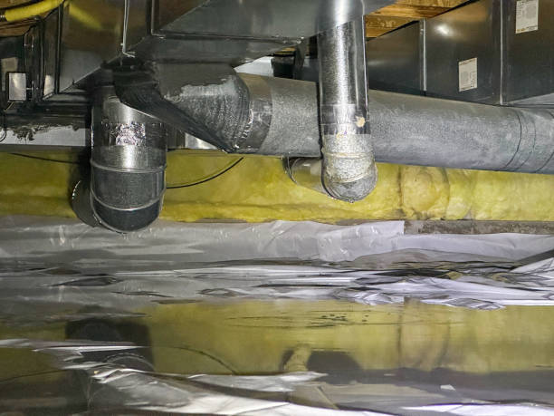 Best Sewage cleanup and water damage restoration  in Marion, WI